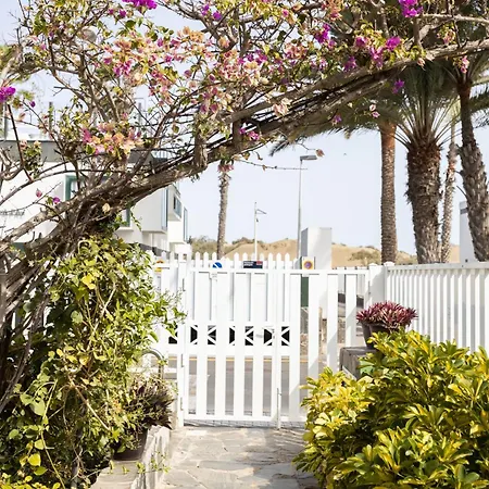 Maspalomas Oasis