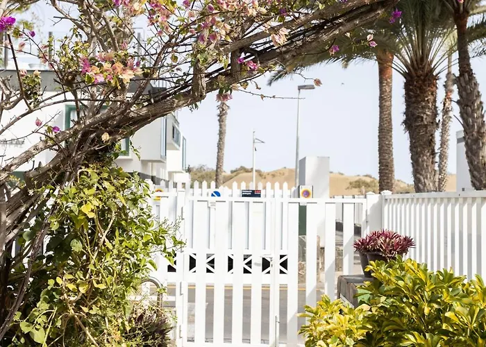 Maspalomas Oasis